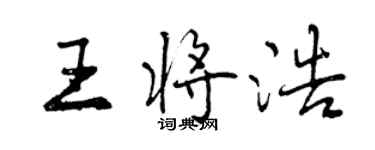 曾庆福王将浩行书个性签名怎么写