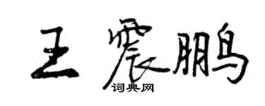 曾庆福王震鹏行书个性签名怎么写