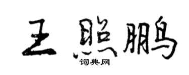 曾庆福王照鹏行书个性签名怎么写
