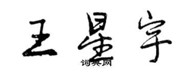 曾庆福王星宇行书个性签名怎么写