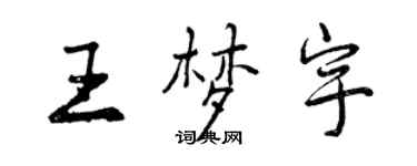 曾庆福王梦宇行书个性签名怎么写