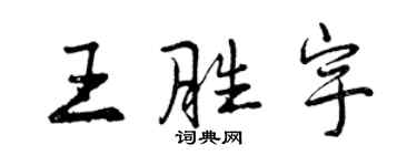 曾庆福王胜宇行书个性签名怎么写