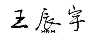曾庆福王辰宇行书个性签名怎么写