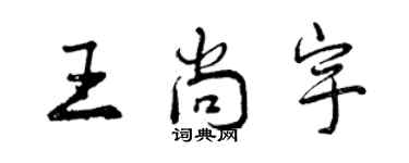 曾庆福王尚宇行书个性签名怎么写