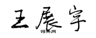 曾庆福王展宇行书个性签名怎么写