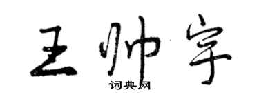 曾庆福王帅宇行书个性签名怎么写