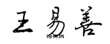 曾庆福王易善行书个性签名怎么写