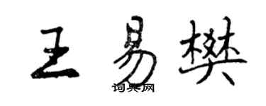 曾庆福王易樊行书个性签名怎么写