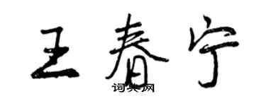 曾庆福王春宁行书个性签名怎么写