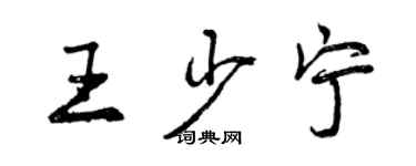 曾庆福王少宁行书个性签名怎么写