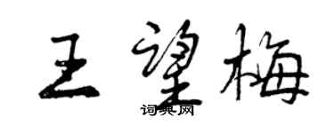 曾庆福王望梅行书个性签名怎么写