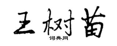 曾庆福王树苗行书个性签名怎么写