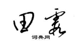 梁锦英田霞草书个性签名怎么写