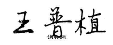 曾庆福王普植行书个性签名怎么写