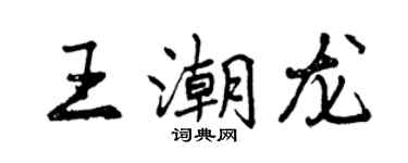 曾庆福王潮龙行书个性签名怎么写