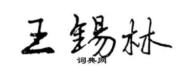 曾庆福王锡林行书个性签名怎么写
