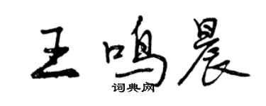 曾庆福王鸣晨行书个性签名怎么写
