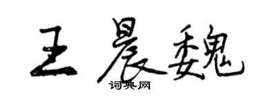 曾庆福王晨魏行书个性签名怎么写