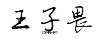 曾庆福王子畏行书个性签名怎么写