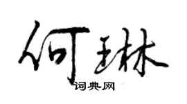 曾庆福何琳行书个性签名怎么写