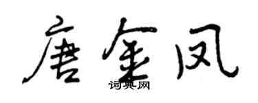 曾庆福唐金凤行书个性签名怎么写