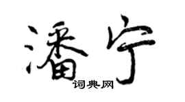 曾庆福潘宁行书个性签名怎么写