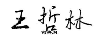 曾庆福王哲林行书个性签名怎么写