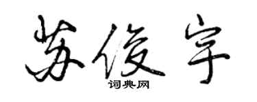 曾庆福苏俊宇行书个性签名怎么写