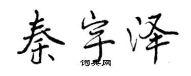 曾庆福秦宇泽行书个性签名怎么写
