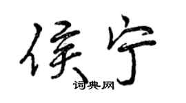 曾庆福侯宁行书个性签名怎么写