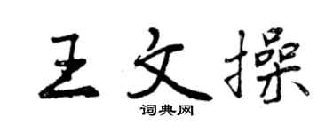 曾庆福王文操行书个性签名怎么写