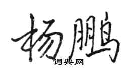 骆恒光杨鹏行书个性签名怎么写