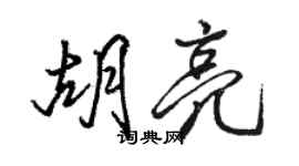 骆恒光胡亮行书个性签名怎么写