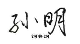 骆恒光孙明行书个性签名怎么写