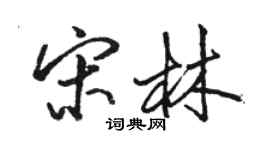 骆恒光宋林行书个性签名怎么写