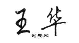 骆恒光王华行书个性签名怎么写