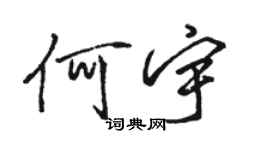 骆恒光何宇行书个性签名怎么写