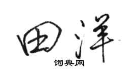骆恒光田洋行书个性签名怎么写