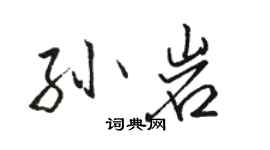 骆恒光孙岩行书个性签名怎么写