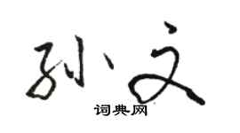 骆恒光孙文行书个性签名怎么写