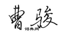 骆恒光曹骏行书个性签名怎么写