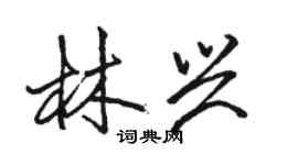 骆恒光林兴行书个性签名怎么写