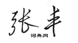 骆恒光张丰行书个性签名怎么写