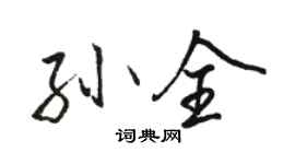 骆恒光孙全行书个性签名怎么写