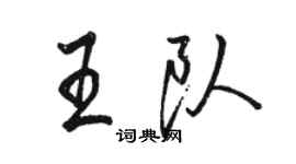 骆恒光王队行书个性签名怎么写