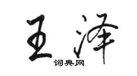 骆恒光王泽行书个性签名怎么写