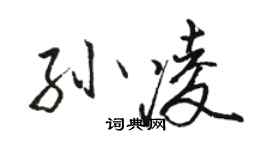 骆恒光孙凌行书个性签名怎么写