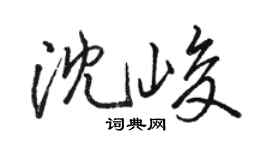 骆恒光沈峻行书个性签名怎么写