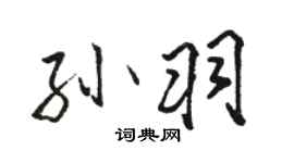 骆恒光孙羽行书个性签名怎么写