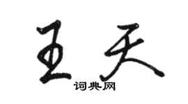 骆恒光王天行书个性签名怎么写